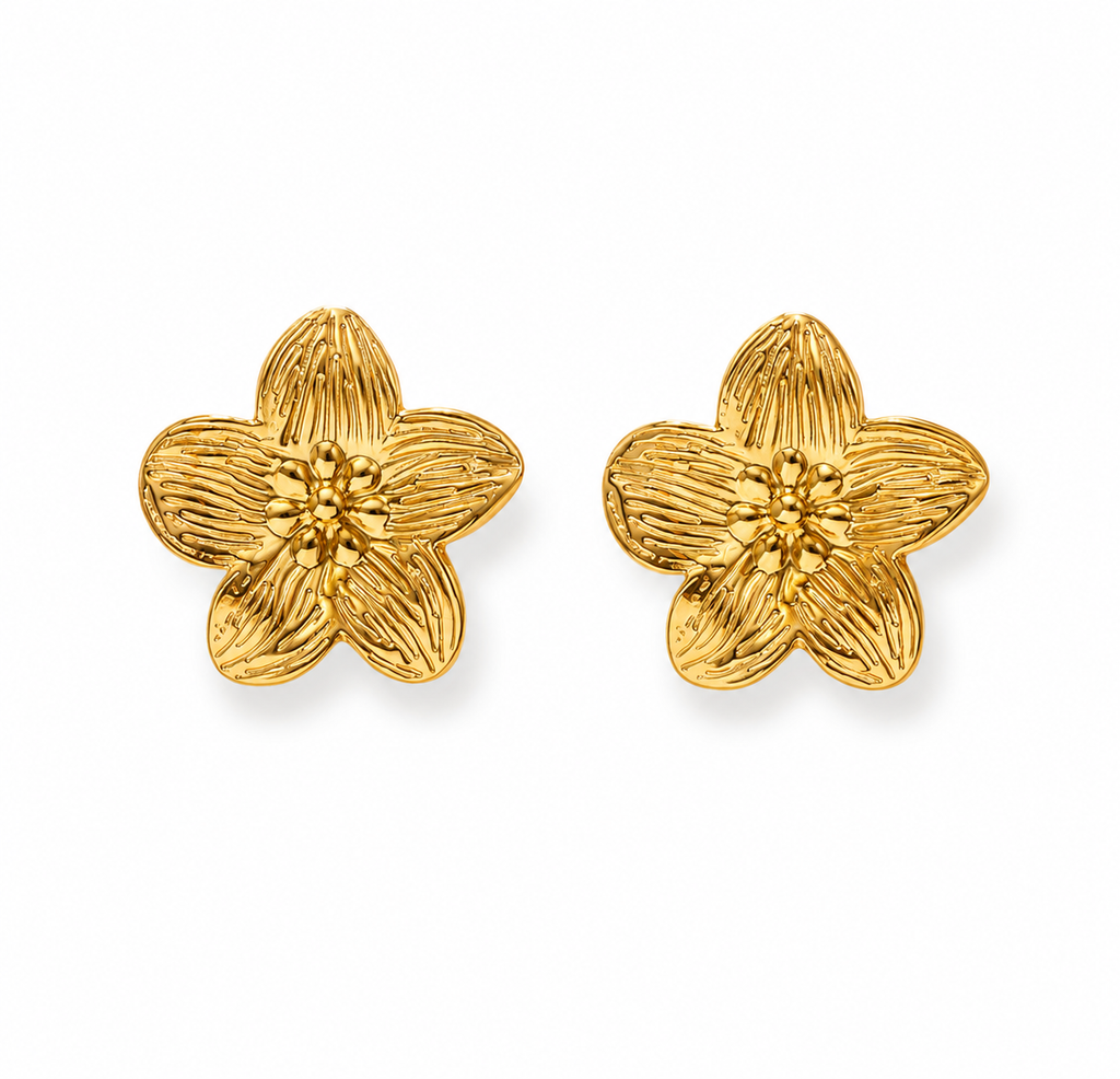 Boucles d’oreilles Lina